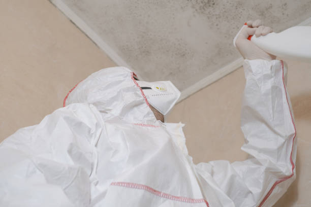 Best Professional Mold Removal  in High Springs, FL