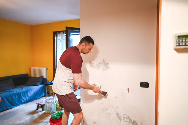 Best Mold Testing  in High Springs, FL